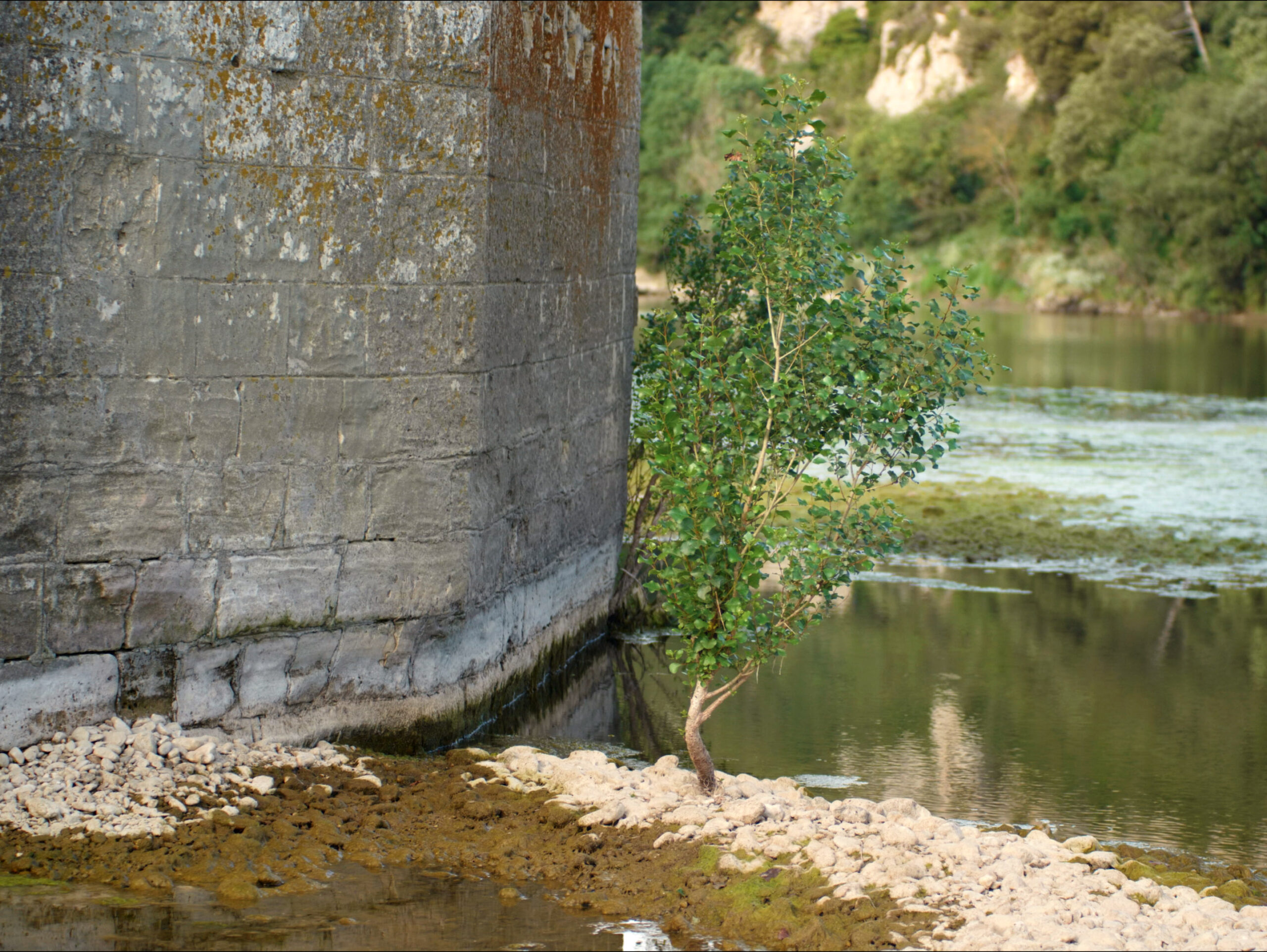 le pont_still5_RVB72